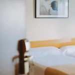 サラゴサ プラサ