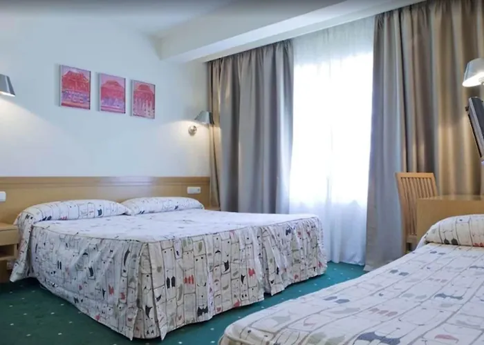 酒店 萨拉戈萨广场酒店 *